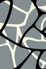 VISION DELUXE 21 Серый