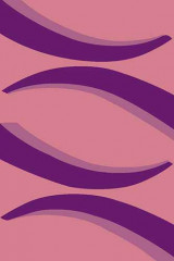 VISION DELUXE 20 Виола