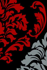 VISION DELUXE 25 Красный