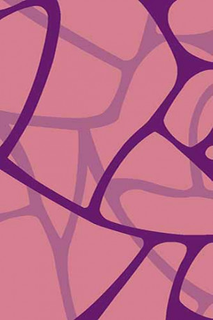 VISION DELUXE 21 Виола