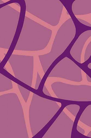 VISION DELUXE 21 Виола