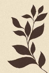 Прямоугольный ковер PLATINUM T647 CREAM-BROWN