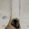 Турецкий ковер TRUVA-D5756A-CREAM-CREAM-STAN