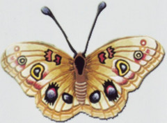 Китайский ковёр- Golden MAZ - ручная работа