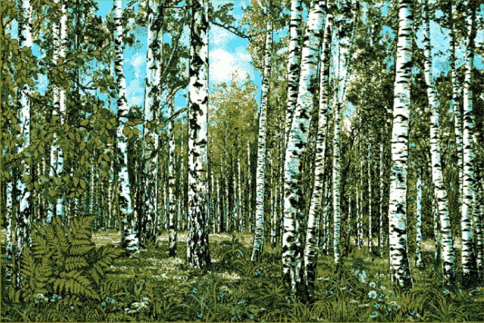 Российские просторы №9