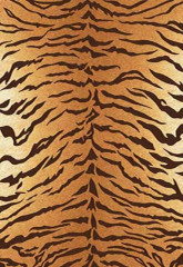 Аквилон CARVING 15