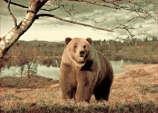 Российские ковры Фауна №7