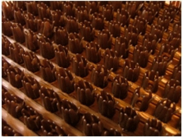 Щетинистое покрытие Кранц №1