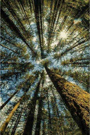 Коврик Кристалл 63