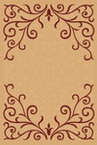 Premium Collection 17