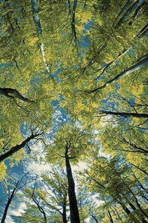 Коврик Кристалл 64