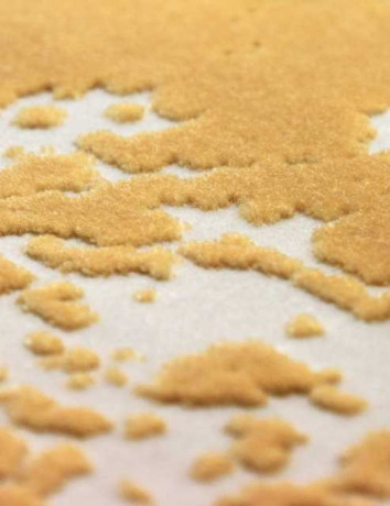 Турецкий ковер TRUVA-08311C-ORANGE-ORANGE-STAN